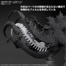 Load image into Gallery viewer, Godzilla x Kong: The New Empire Godzilla Model Kit