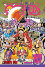 Load image into Gallery viewer, One Piece Volume 111