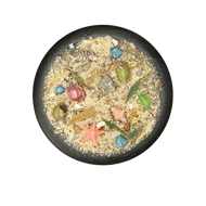Krautcover Freebooter's Fate Booty Beach Basecover 140ml