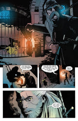 The Witcher Volume 10 The Bear and the Butterfly