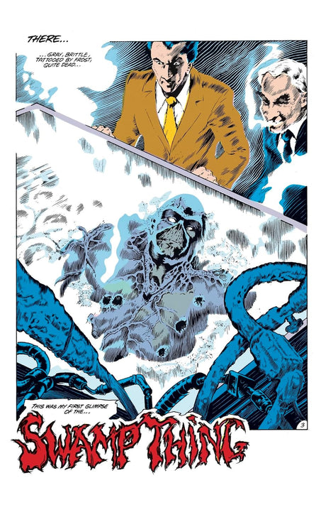 Swamp Thing: The Anatomy Lesson DC Compact Comics Edition