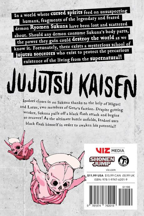 Jujutsu Kaisen Volume 29