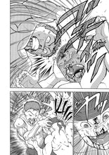 Load image into Gallery viewer, Baki the Grappler Volume 10