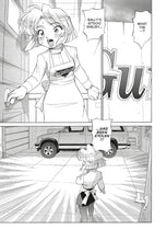 Load image into Gallery viewer, Gunsmith Cats: Burst Omnibus Volume 1