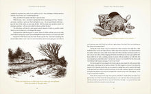 Load image into Gallery viewer, The Wind in the Willows: With Illustrations by David Petersen
