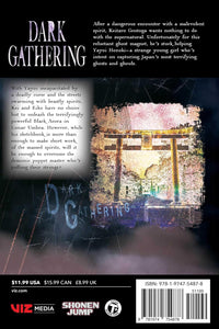 Dark Gathering Volume 13