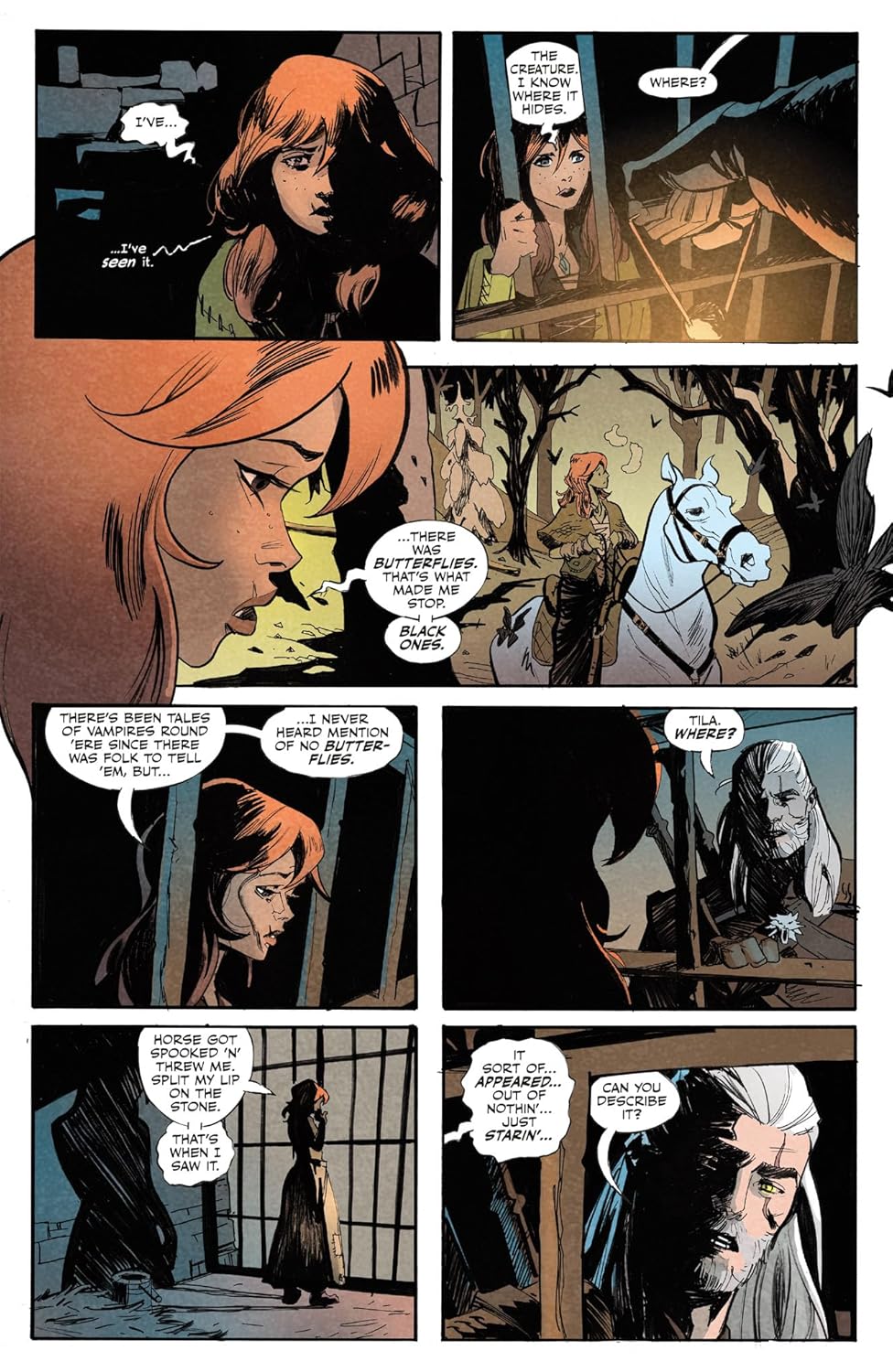 The Witcher Volume 10 The Bear and the Butterfly