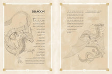 Load image into Gallery viewer, Beasts of the Four Nations: Creatures from Avatar The Last Airbender and The Legend of Korra