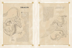 Beasts of the Four Nations: Creatures from Avatar The Last Airbender and The Legend of Korra