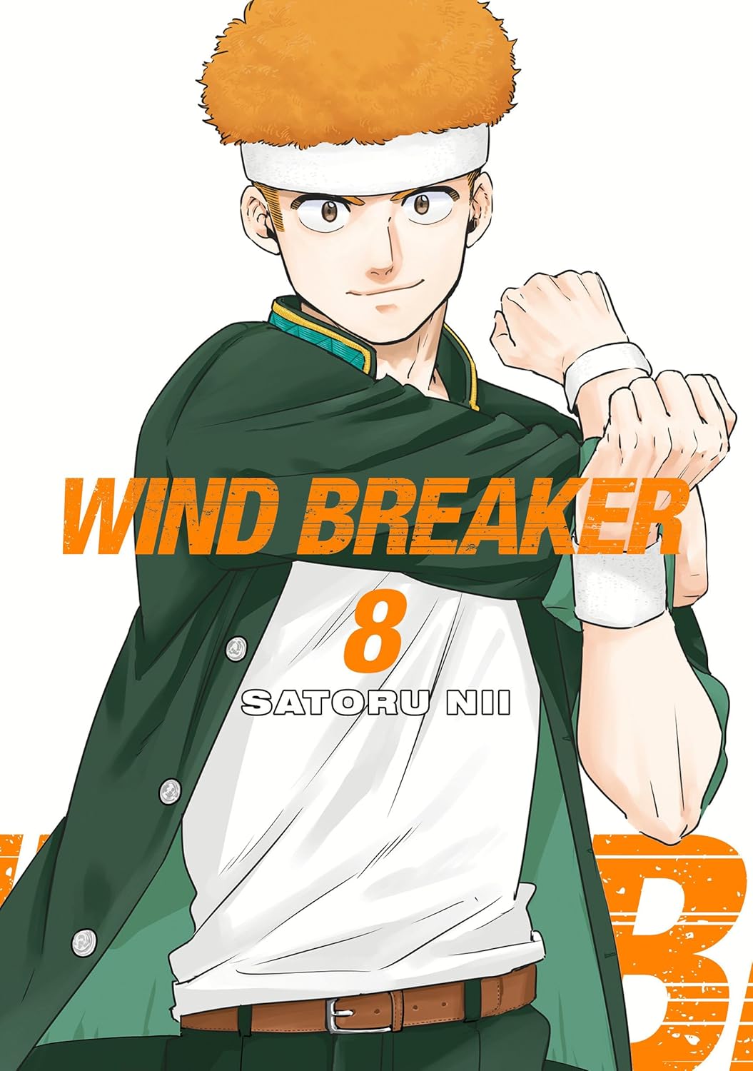 Wind Breaker Volume 8