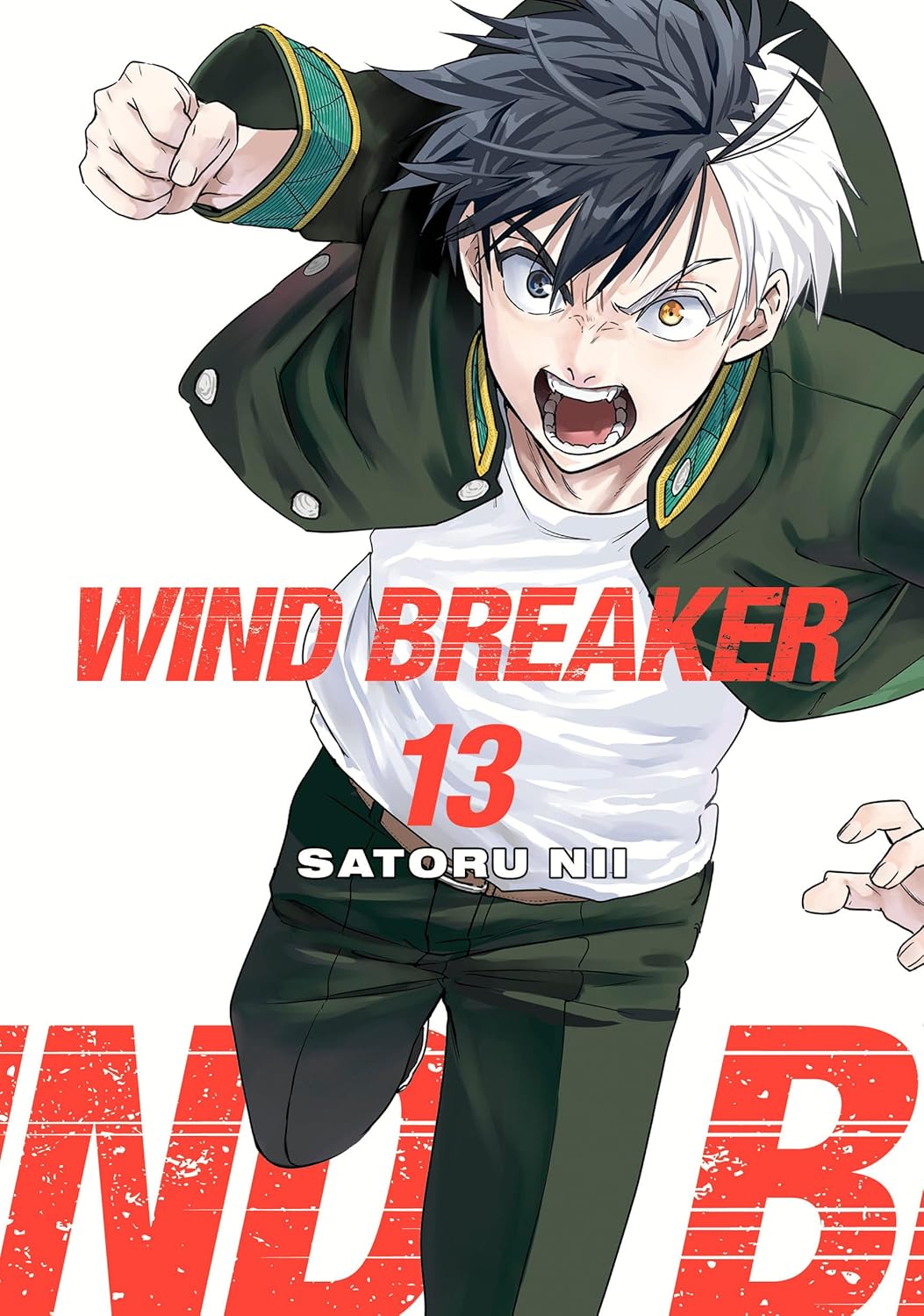 Wind Breaker Volume 13