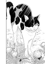 Load image into Gallery viewer, Cat + Crazy Volume 3