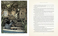Load image into Gallery viewer, The Wind in the Willows: With Illustrations by David Petersen