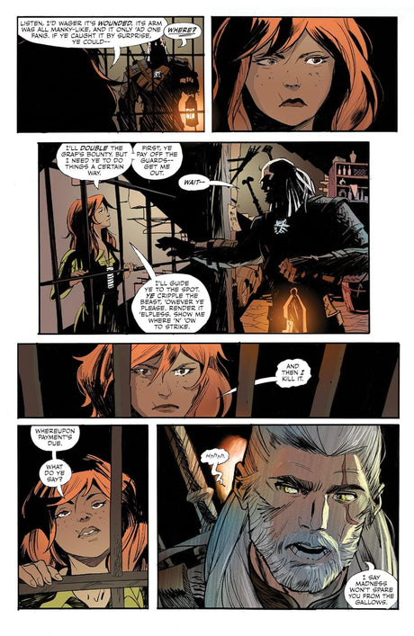The Witcher Volume 10 The Bear and the Butterfly