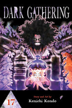 Load image into Gallery viewer, Dark Gathering Volume 17