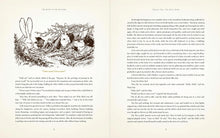 Load image into Gallery viewer, The Wind in the Willows: With Illustrations by David Petersen