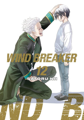 Wind Breaker Volume 12