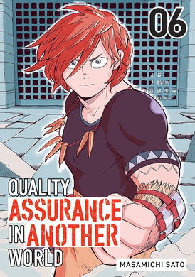 Quality Assurance in Another World Volume 6