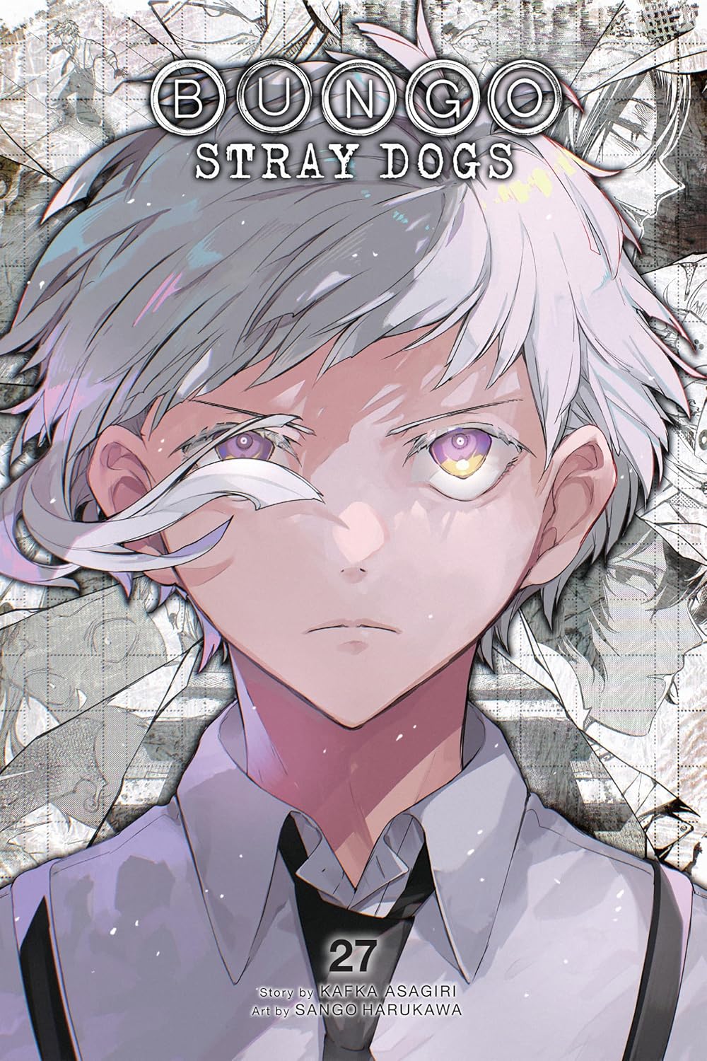 Bungo Stray Dogs Volume 27