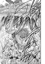 Load image into Gallery viewer, Baki the Grappler Volume 22