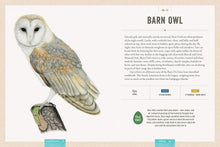 Load image into Gallery viewer, Celebrating Birds: An Interactive Field Guide Featuring Art from Wingspan