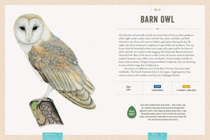 Celebrating Birds: An Interactive Field Guide Featuring Art from Wingspan