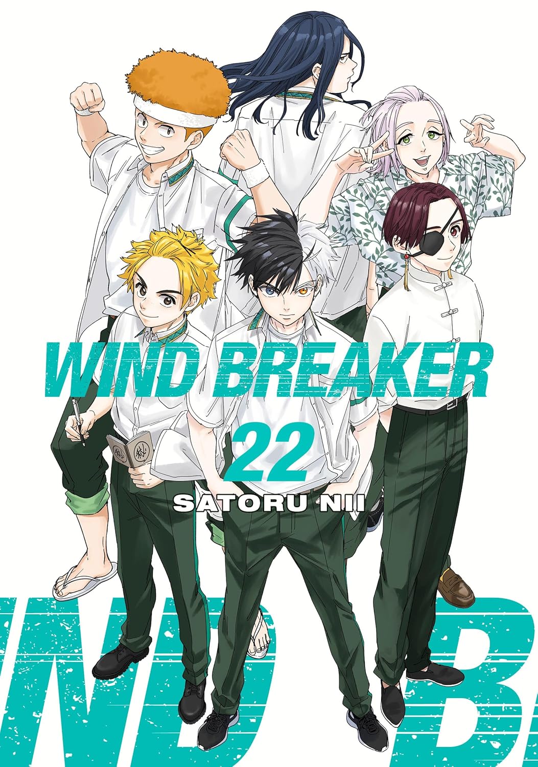 Wind Breaker Volume 22