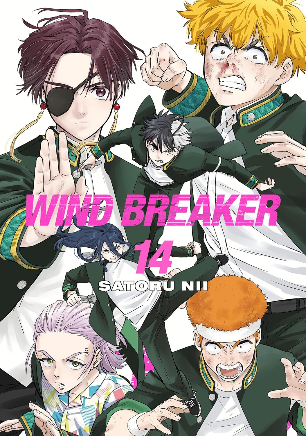 Wind Breaker Volume 14