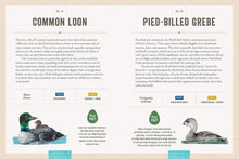 Load image into Gallery viewer, Celebrating Birds: An Interactive Field Guide Featuring Art from Wingspan