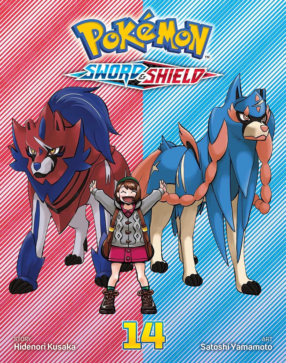 Pokémon Sword & Shield Volume 14