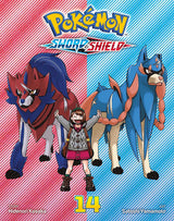 Pokémon Sword & Shield Volume 14