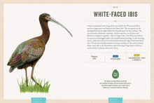 Load image into Gallery viewer, Celebrating Birds: An Interactive Field Guide Featuring Art from Wingspan