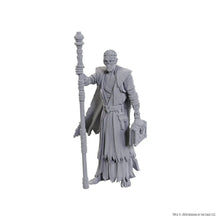 Load image into Gallery viewer, D&amp;D Nolzur&#39;s Marvelous Miniatures Special Edition Baldur&#39;s Gate 3 - Volo &amp; Withers