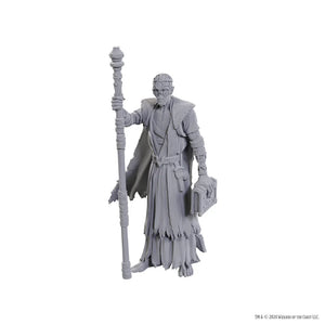 D&D Nolzur's Marvelous Miniatures Special Edition Baldur's Gate 3 - Volo & Withers