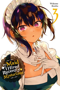 The Maid I Hired Recently Is Mysterious Volume 3