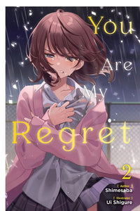 You Are My Regret Light Novel Volume 2