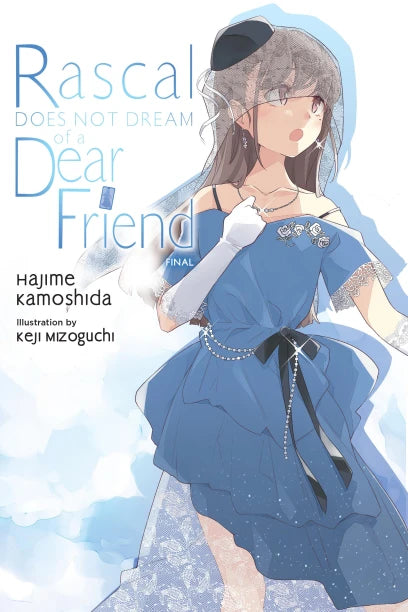 Rascal Does Not Dream of Volume 15 a Dear Friend Light Novel