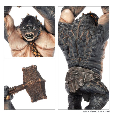 The Lord Of The Rings Cave Troll