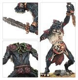 Warhammer The Old World Warriors of Chaos Chaos Trolls