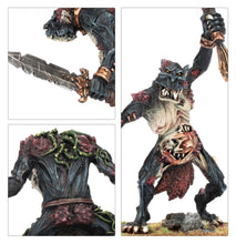 Load image into Gallery viewer, Warhammer The Old World Warriors of Chaos Chaos Trolls