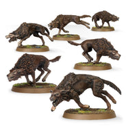 The Lord Of The Rings Fell Wargs