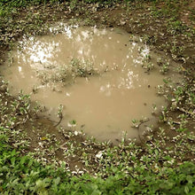 Load image into Gallery viewer, AK Interactive Puddles 60ml