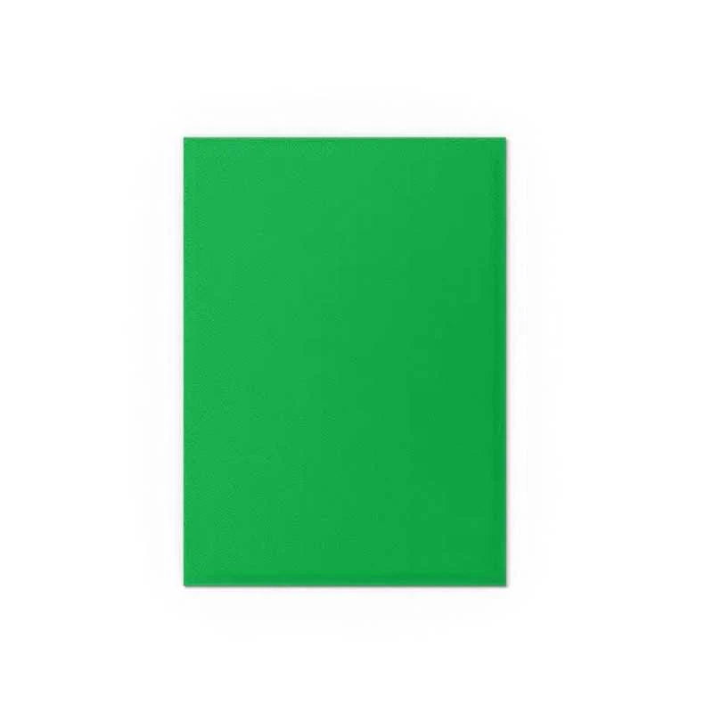Dragon Shield Matte Dual Sleeves Standard Size - Apple Green & Silver (100)
