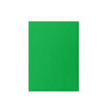 Dragon Shield Matte Dual Sleeves Standard Size - Apple Green & Silver (100)