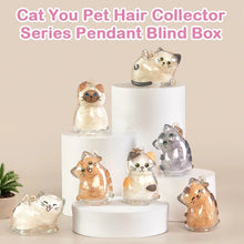 Load image into Gallery viewer, Cat You Pet Hair Collector Series Pendant Blind Box