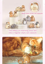 Load image into Gallery viewer, Cat You Pet Hair Collector Series Pendant Blind Box