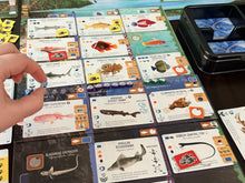 Load image into Gallery viewer, Finspan Sharks &amp; Reefs Expansion