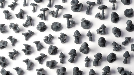 Gamers Grass Basing Bits Forest Mushrooms