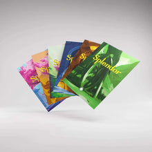 Load image into Gallery viewer, Gamegenic Splendor Art Sleeves Sleeves