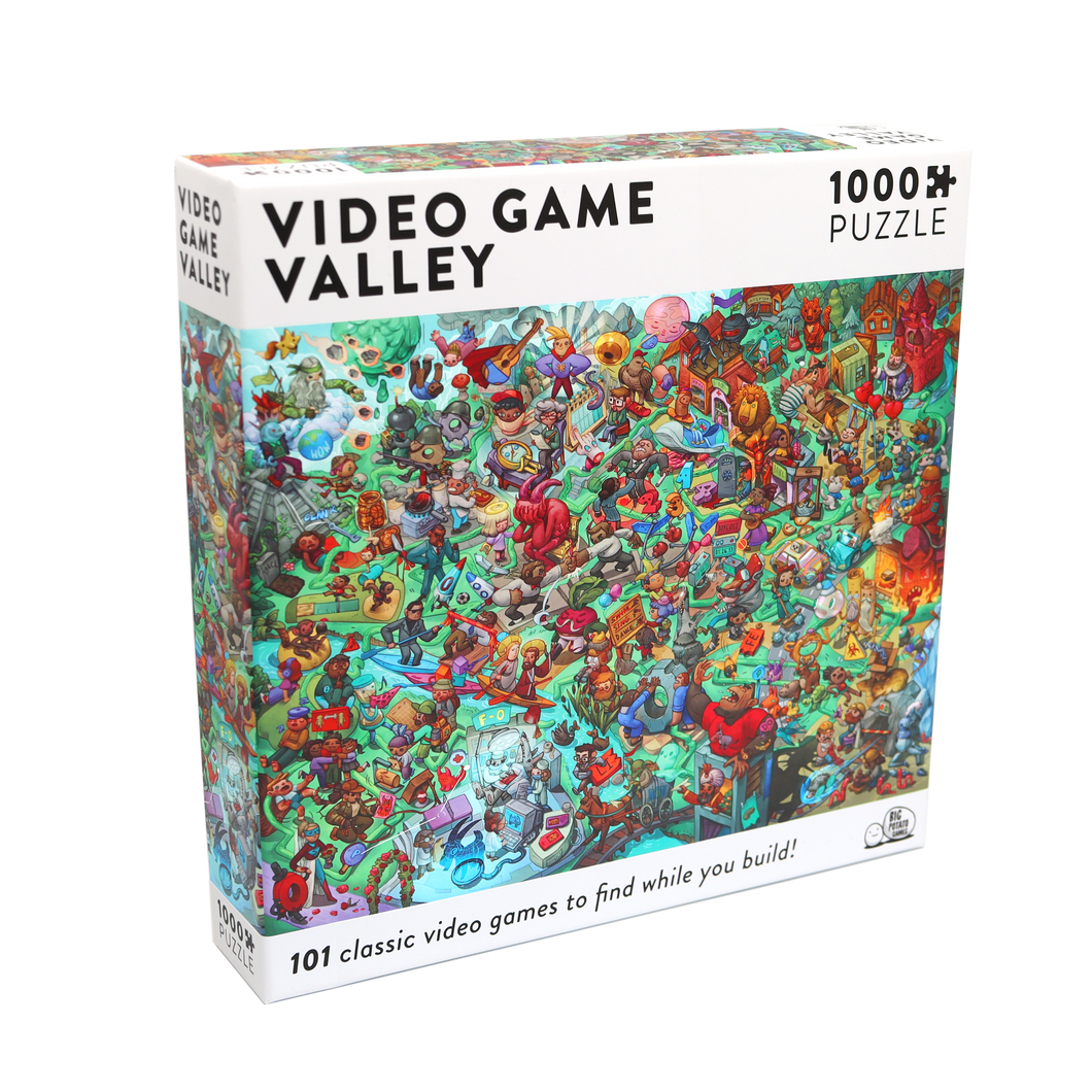 Video Game Valley Puzzle